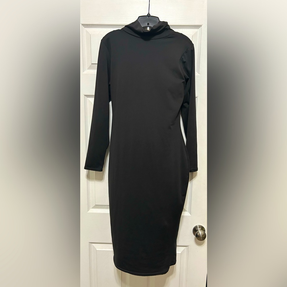 Turtleneck Fitted Long Sleeve Simple Black Dress